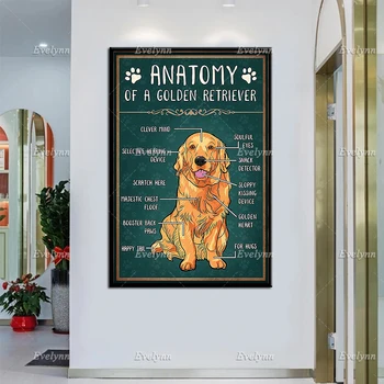 Anatomia De Um Golden Retriever Os Amantes De Cães De Pôster Arte De Parede De Impressão Da Vida Home Decoração De Lona Cartaz, Um Presente Único