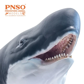 PNSO Pré-históricos, Dinossauros Modelo 56 Requena O Livyatan Modelo de Coletor de Ensino de Ciências cachalote Brinquedos Animais
